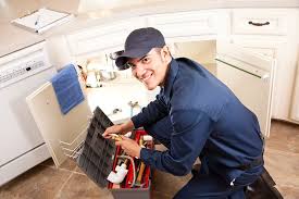 Best Garbage Disposal Repair and Installation  in Trophy Clu, TX